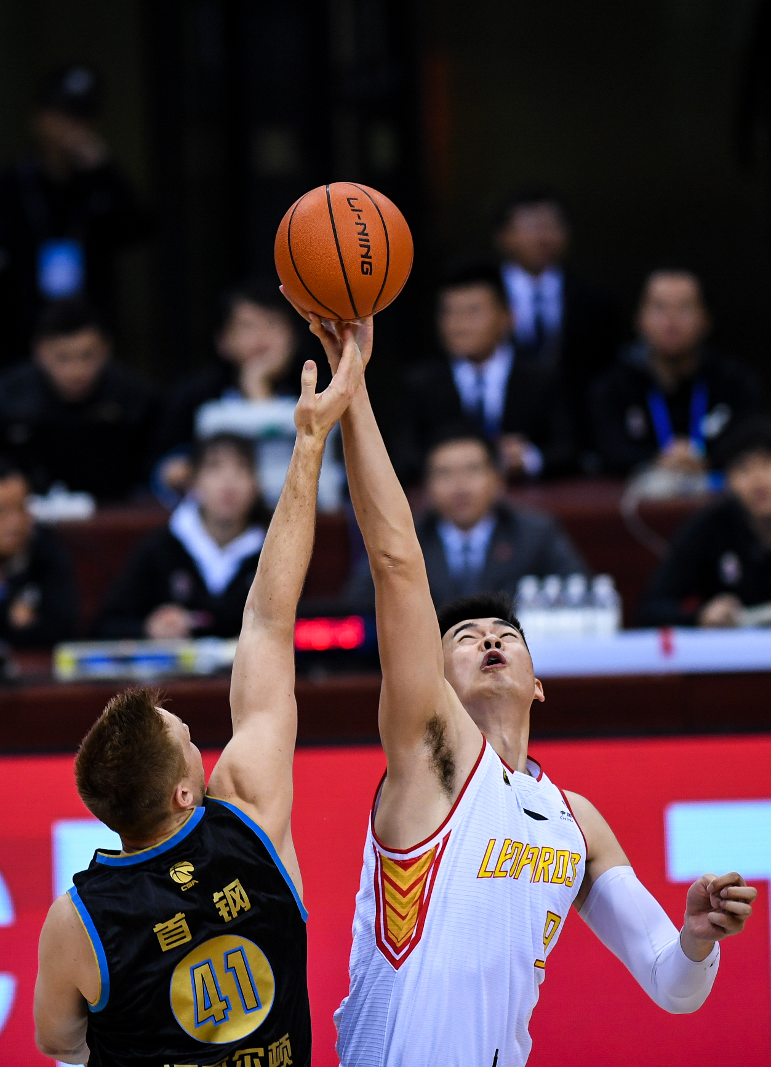 灰熊青年军崛起引发关注（灰熊新生代崛起备受瞩目）